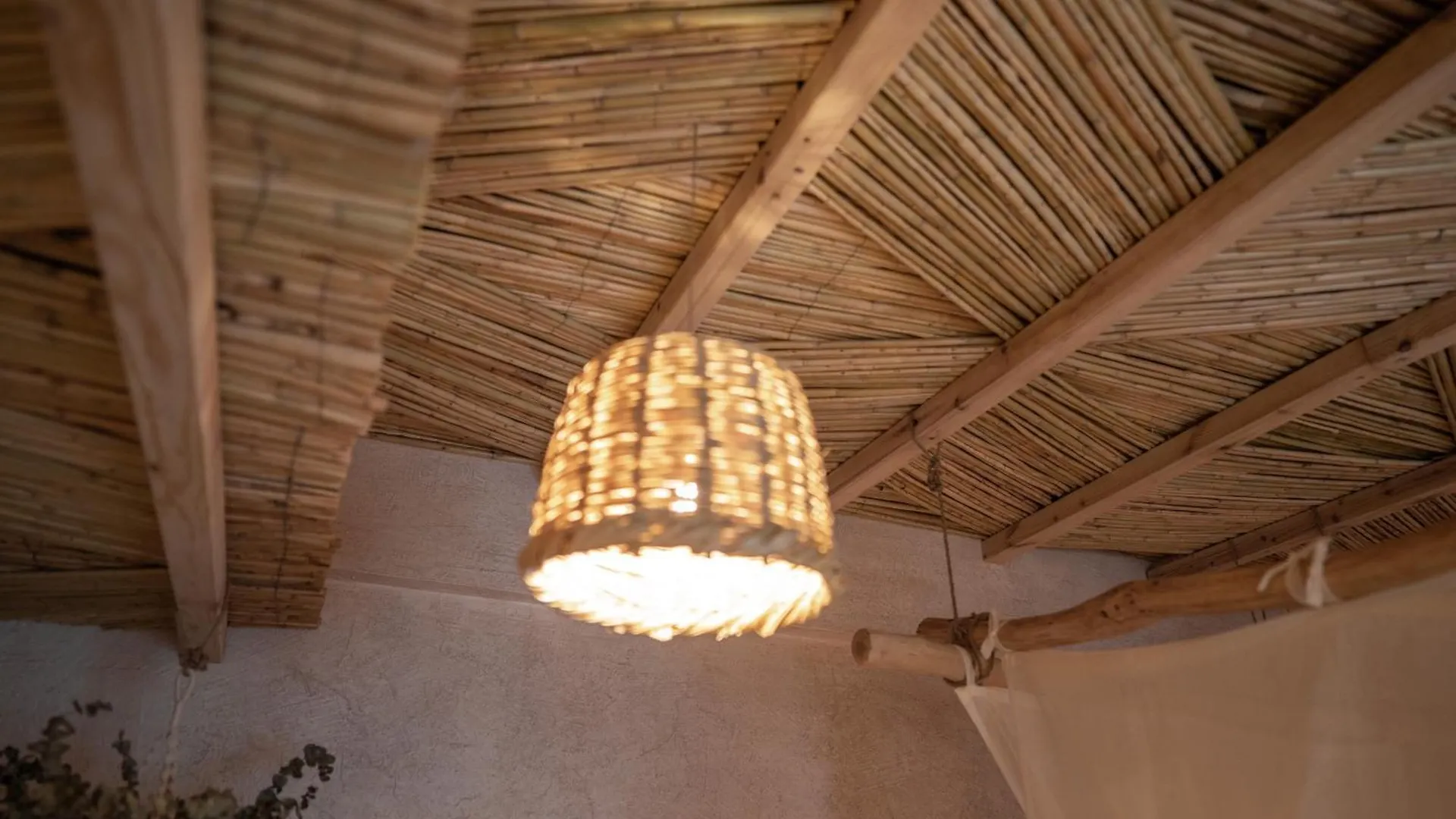 Biophilia Luxury Lofts Lejlighed Beirut